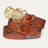 Cheap Claris Virot Beetle Belt Moka Python