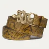 Cheap Claris Virot Snake Belt Kaki Python Gold Buckle