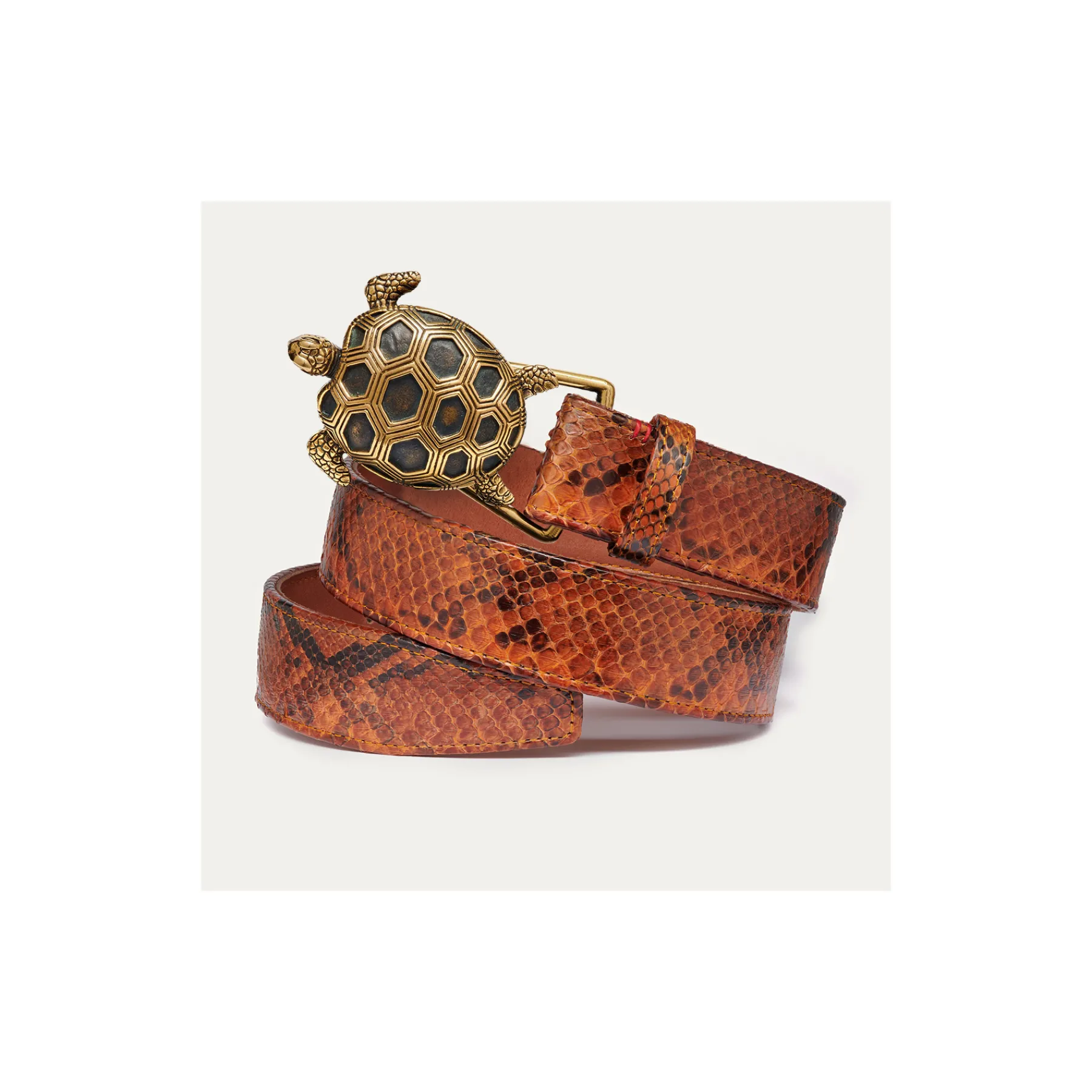 Discount Claris Virot Turtle Belt Moka Python Gold Buckle