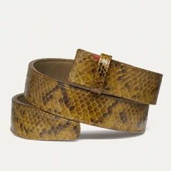 Best Sale Claris Virot Turtle Belt Kaki Python Gold Buckle
